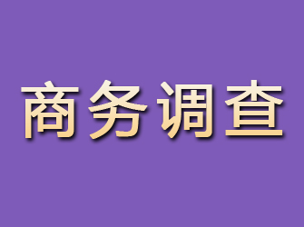 曲靖商务调查